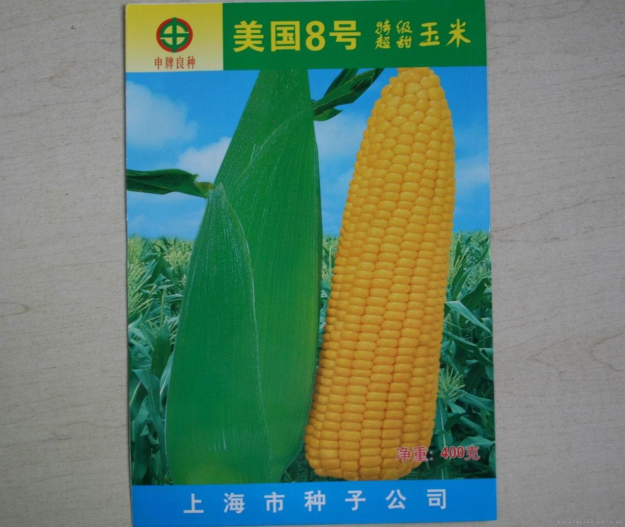 美国八号