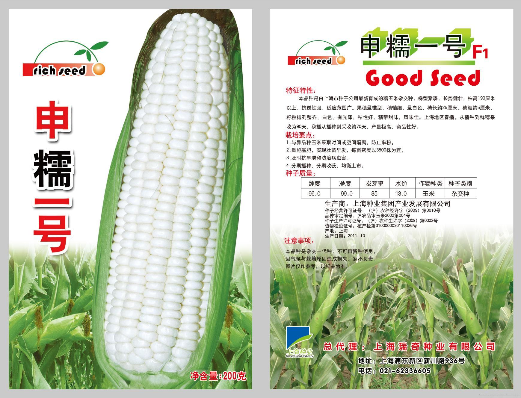 申糯一号