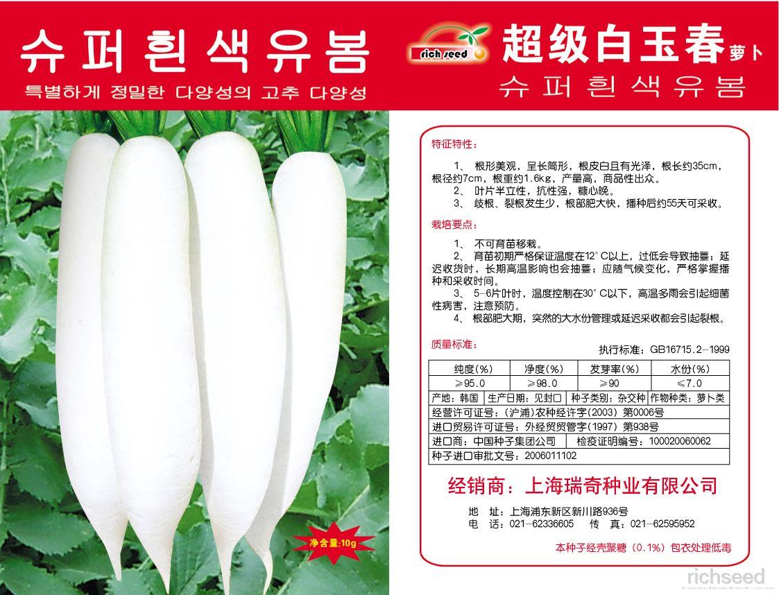 超级白玉春萝卜