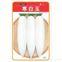 寒白玉