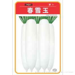 春雪玉