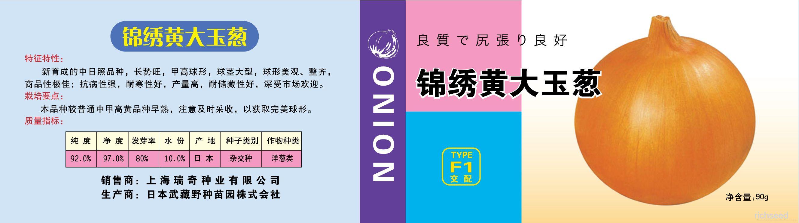 锦绣黄大玉葱