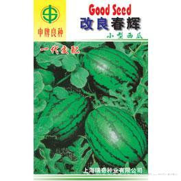 改良春辉