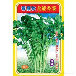 春夏秋全能香菜