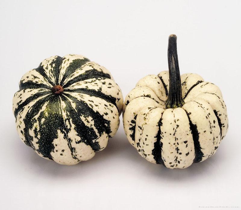 观赏南瓜甜布丁