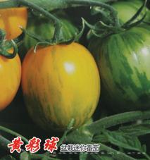 黄彩球