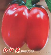 红灯笼