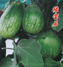绿宝石