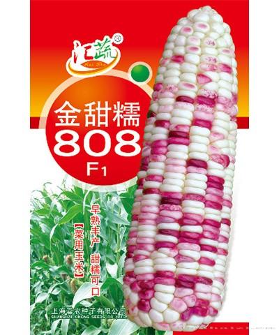 金甜糯808