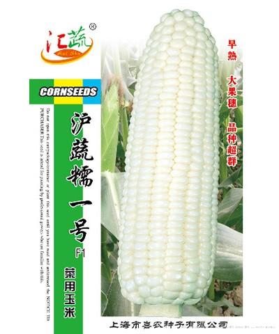 沪蔬糯一号