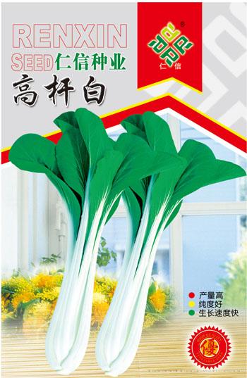 小白菜种子--高杆白