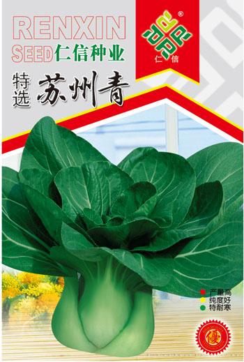 小白菜种子--特选苏州青
