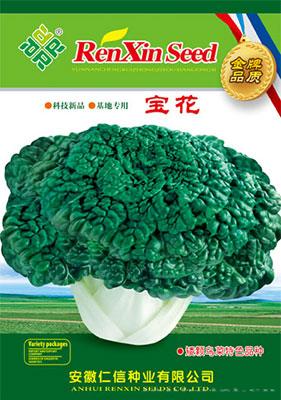 黄心乌种子--宝花