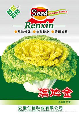 黄心乌种子--满地金（15克）