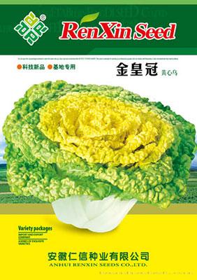 黄心乌种子--金皇冠