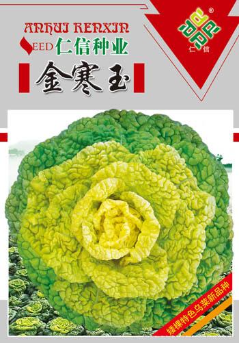 黄心乌种子--金寒玉