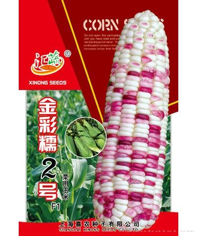 金彩糯二号