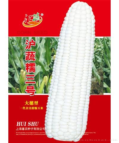 沪蔬糯三号