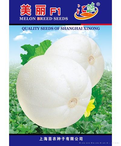 美丽