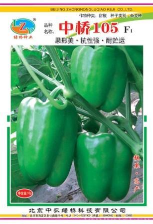 中桥105