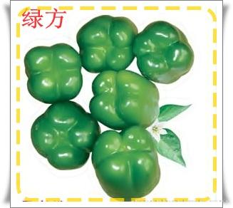绿方