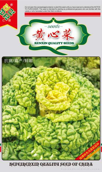 黄心乌种子--黄心菜
