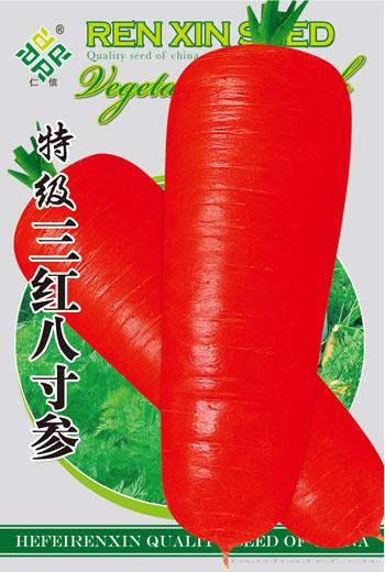 萝卜种子--特级三红八寸