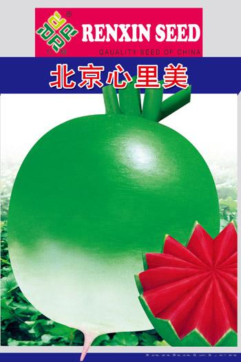 萝卜种子--北京心里美