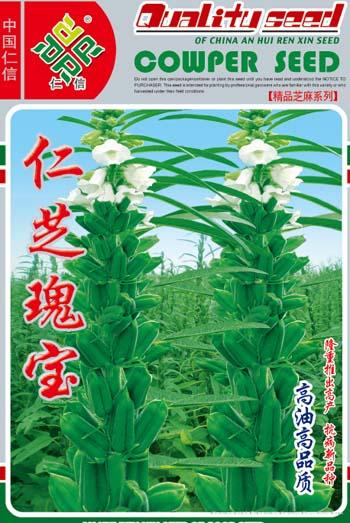 芝麻种子--仁芝瑰宝