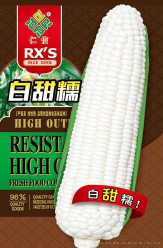 玉米种子--白甜糯