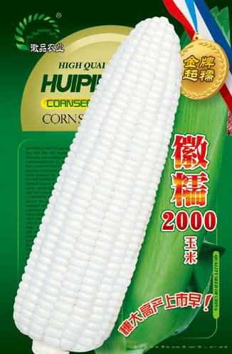 玉米种子--徽糯2000
