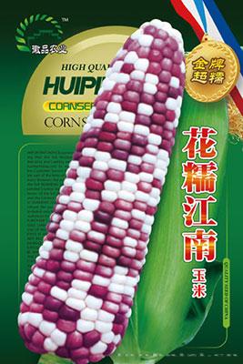 花糯江南