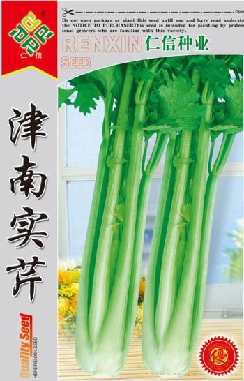 津南实芹