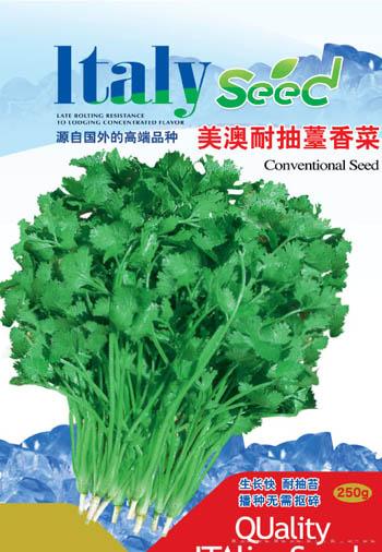 美澳耐抽薹香菜