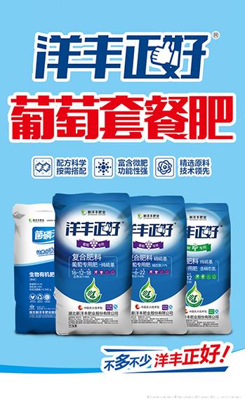  葡萄营养解决方案