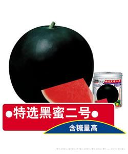 特选黑蜜二号