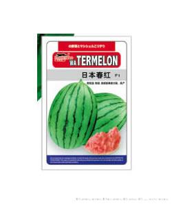 日本春红