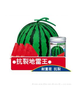 抗裂地雷王
