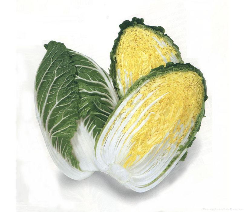 金锦