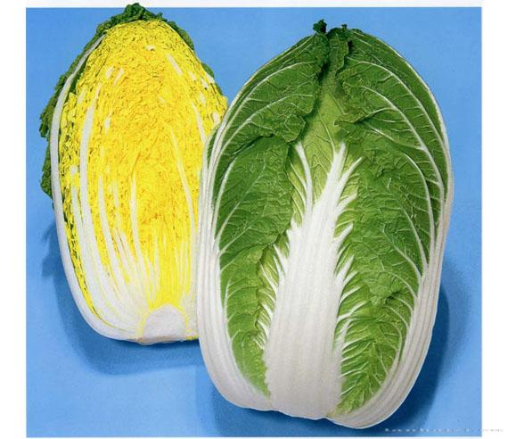 天福超黄