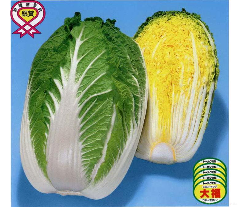 天福极品