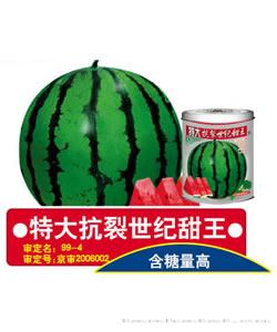特大抗裂世纪甜王