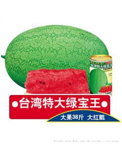 台湾特大绿宝王