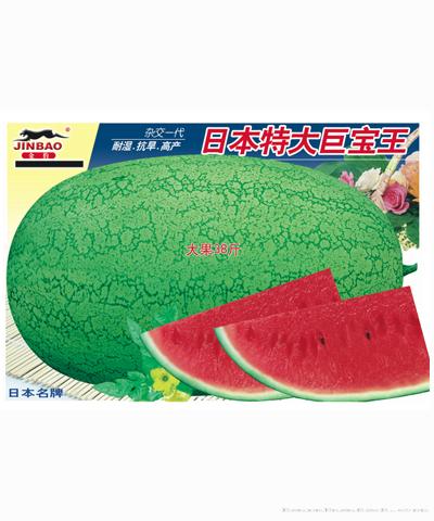日本特大巨宝王