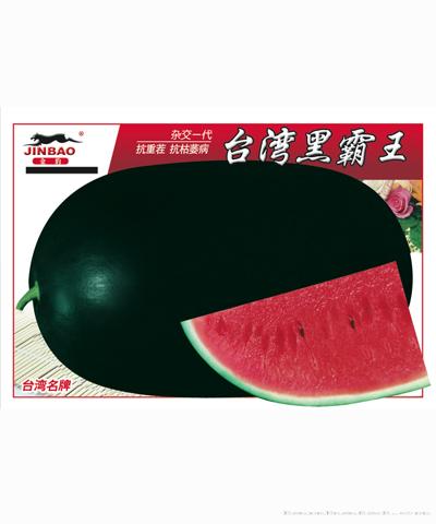 台湾黑霸王