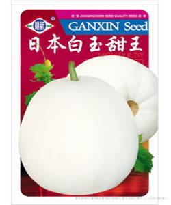 日本白玉1甜王