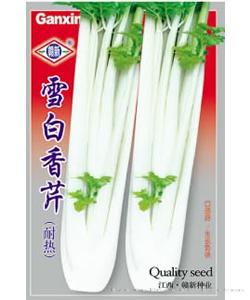 雪白香芹