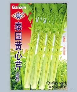  泰国黄心芹