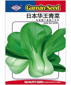 日本华王青菜