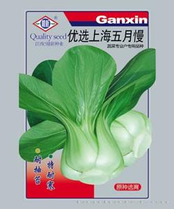 优选上海五月慢